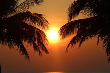 Sibaja Palms Sunset Luxury विला *